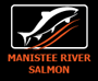 Manistee River Salmon